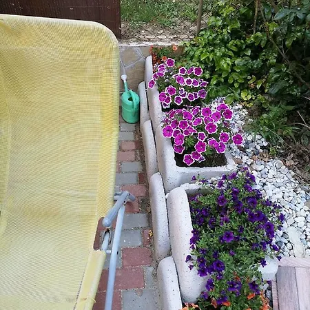 Guest house Golyafeszek Kulcsoshaz Igal